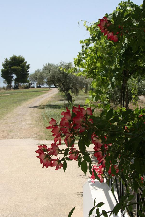 Villa Vlichos Amarynthos Bagian luar foto