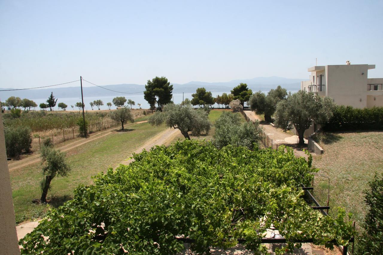 Villa Vlichos Amarynthos Bagian luar foto