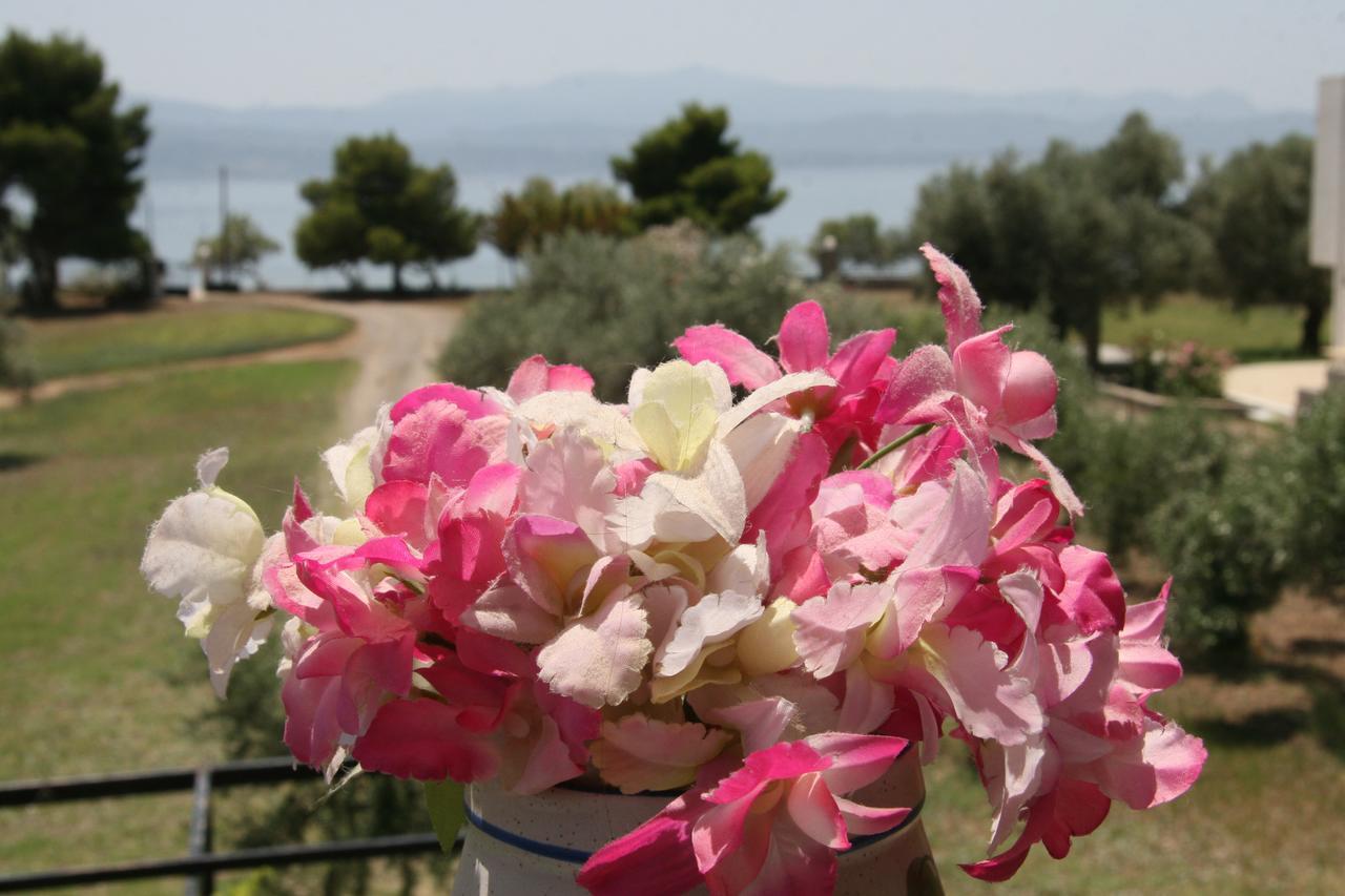 Villa Vlichos Amarynthos Bagian luar foto