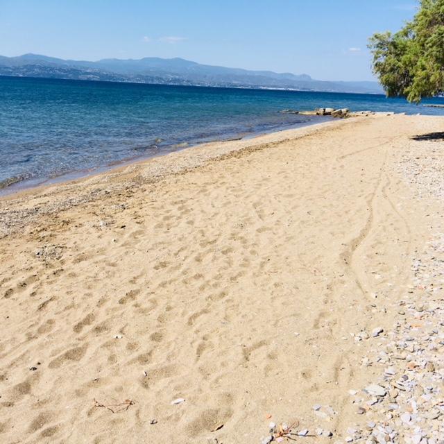 Villa Vlichos Amarynthos Bagian luar foto